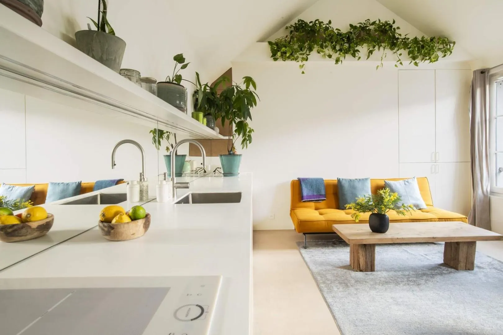 Apartman Passage Cache, Tu Me Fais Rever!